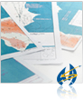 Document and Chart Descriptions